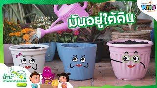 มันอยู่ใต้ดิน : บ้านนักวิทยาศาสตร์น้อย