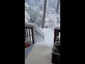 VIDEO: Deep snow at Jonas Ridge in NC mountains (Courtesy: Lance Ware)