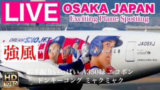 🔴 LIVE OSAKA ITAMI Airport ( JAPAN ) 2025/2/22 大阪伊丹空港   ライブカメラ