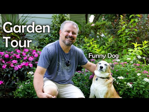 Garden Tour Youtube