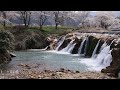 石川 十二ヶ滝の桜 uhd8k顔声曲無 cherry blossoms at junigataki falls