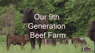 Our 9th Generation Ontario Beef Farm - Nutrafarms