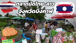 ตลาดไทยลาวจังหวัดบึงกาฬ ปลาบึกแม่น้ำโขง น้องวัว เห็ดเผาะ อึ่งไข่  ของแซ่บไทยลาว