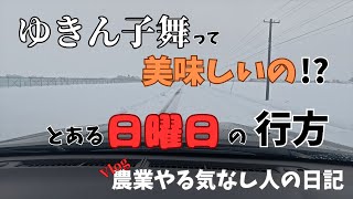 日曜日のお買い物