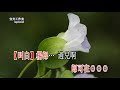 绝情谷底侠侣情_音樂版