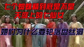 （第四十九集）七个蜘蛛精到底是不是天庭七仙女，她们为什么要轮落盘丝洞