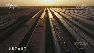 寿光地区的蔬菜大棚种植地 竟足以保证北方地区一个冬季的蔬菜供应量！《超级工程Ⅲ》第一集【CCTV纪录】