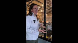 Nimbus Fish Hatchery Visit
