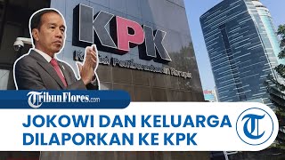 Jokowi dan Keluarga Dilaporkan ke KPK atas Dugaan KKN dan TPPU usai Rilisnya Laporan OCCRP