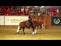 re live junior u0026 young riders individual fei reining world championship 2019 givrins sui