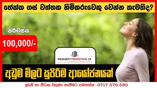 පර්චසයක මිළ ලක්ෂ 01 || BTM676197: Land for Sale in Embilipitiya, Ratnapura