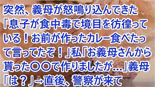 【スカッとする話】突然、義母が怒鳴り込んできた「息子が食中毒で境目を彷徨っている！お前が作ったカレー食べたって言ってたぞ！」私「お義母さんから貰った〇〇で作りましたが…」義母「は？」→直後、