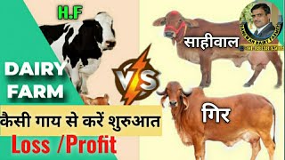 Cow Dairy Farm में कैसी गाय से करे शुरुआत कैसी गाय रखे