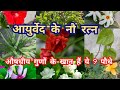 औषधीय गुणों से भरपूर हैं ये 9 पौधे/ medicinal plants / Ayurvedic plants / ayurvedic plants in hindi