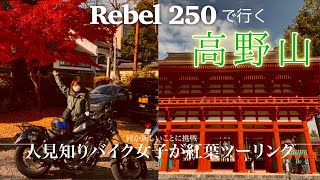 【Rebel250】高野の地へ人見知りバイク女子が紅葉マスツーリングしてみた