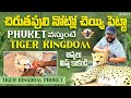 చిరుత పులి తో నా ఆటా ||Cheetah Experience At Tiger Kingdom Phuket||Thailand ||Telugu Travel Vlogger