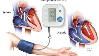 Blood Pressure in detail|| Heart Attack Blood pressure Remedy