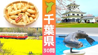 千葉県の1問1答30問