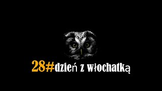 28# dzień z włochatką