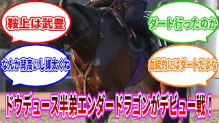 【競馬の反応集】ドウデュース半弟エンダードラゴンがデビュー戦へ！