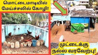 மொட்டை மாடியில் \