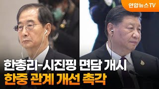 한총리-시진핑 면담 개시…한중 관계 개선 촉각 / 연합뉴스TV (YonhapnewsTV)