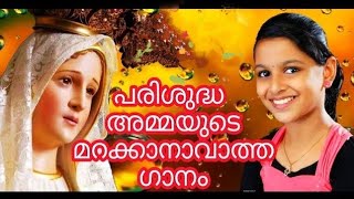 Nirupama snehamayi|Latest Christian Devotional Song |Sr.Jiya MSJ|Aldriya Sabu| Thomas Pynadath