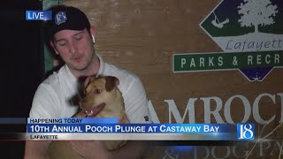 Pooch Plunge preview