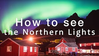 🇮🇸 How to see the Northern Lights - 5 Super Secret Tips 🇮🇸 | Travel Better in Iceland!