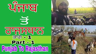 ਪੰਜਾਬ ਤੋਂ ਰਾਜਸਥਾਨ • Punjab To Rajasthan •  Rajasthan Tour On Bike • Sukh Punjabi Vlogs