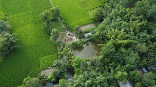 Beautiful green village - 4k Aerial View