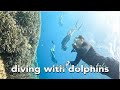 BACK TO BALI: BEST DIVING EXPERIENCE - Almiranti Fira