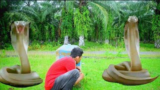 Anaconda Snake 3 In Real Life HD Video part 1