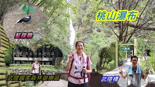 桃山瀑布步道｜武陵國家森林遊樂區｜台中和平之旅 2022年06月22日 【山玲遊記】山與玲的車宿旅遊記錄頻道