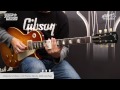 週刊ギブソンvol.37〜gibson custom collector s choice ＃29 tamio okuda 1959 les paul 奥田民生【デジマート・マガジン】