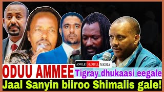 Jaal Sanyiin biiroo Shimallis gale//Tigray dhukaasi eegale//2/21/2025 AGM