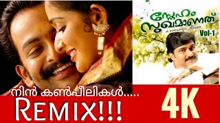 nin kanpeelikal| Album song REMIX| Prithwiraj Kavya madhavan