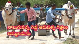 రైట్ సైడ్ నాలుగుపళ్ళ గిత్త లెఫ్ట్ సైడ్ ఆరుపళ్ళు గిత్తలు || ఎవరికైనా కావాలంటే రైతు నెంబరు 9391065943