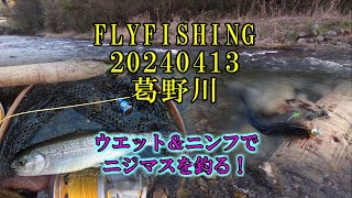 FLYFISHING 20240413 葛野川（桂川支流）ウエット＆ニンフでニジマスを釣る！【フライフィッシング釣行記】