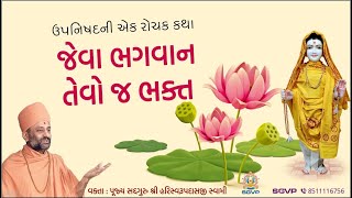 જેવા ભગવાન તેવો જ ભક્ત | Jeva Bhagvan Tevo J Bhakt | Pu. Hariswarupdasji Swami | Daily Satsang