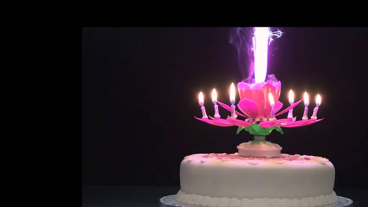 Birthday Flower Candle Images Best Flower Site