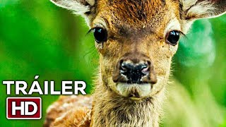 BAMBI: La Película Tráiler Oficial Español Latino (2025)