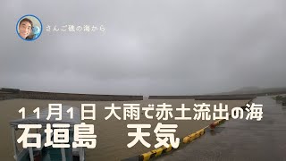 【石垣島天気】11月1日10時ごろ。大雨で赤土が海に流出　15秒でわかる今日の石垣島の様子。