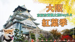 京都大阪奈良自由行Day5.6｜大阪紅葉季｜大阪城 心齋橋 四天王寺 關西空港 新世界商店街｜帶媽媽去日本自助旅行｜芒果姐姐的小旅行｜芒果這一家