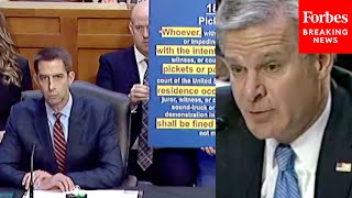 Cotton To Wray: Did Biden DOJ Instruct You Not To Arrest Supreme Court Justices' Home Protesters?