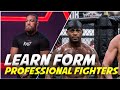 Fight Techniques From UFC Professional Fighters