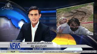 Breaking News!!! แตกตื่น รอยเท้ายักษ์ปริศนา