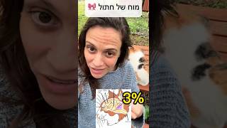 שלחו לכל מי שלא* אוהב חתולים 😋| #חתולים  #חתול #אילוףחתול #cats