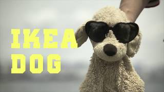 Standing IKEA DOG