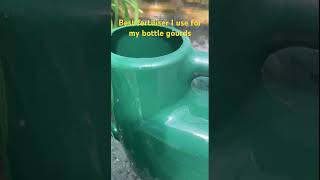 Best fertiliser I use for my plants / bottle gourds / Bangla lau /kodu  #bottlegourds #shokherbagan